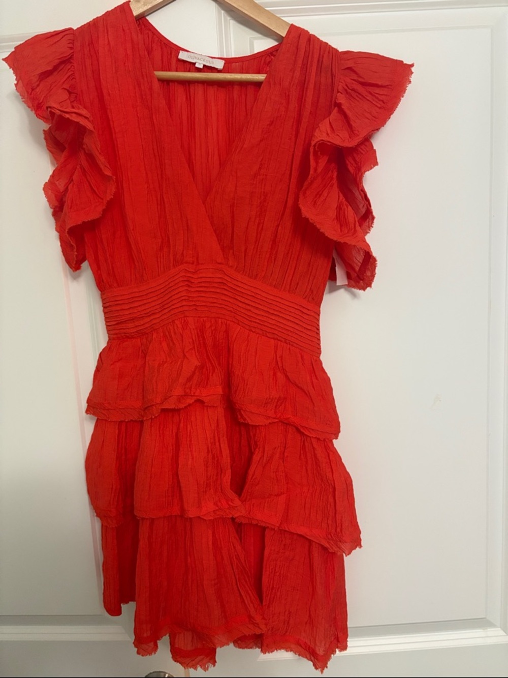 Red Ruffled V-Neck Mini Dress